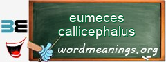 WordMeaning blackboard for eumeces callicephalus